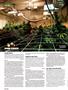 Page: - 120 | High Times