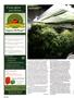 Page: - 122 | High Times