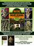 Page: - 127 | High Times