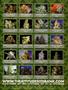 Page: - 3 | High Times