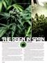 Page: - 44 | High Times