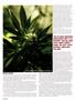 Page: - 48 | High Times