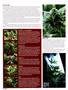 Page: - 50 | High Times