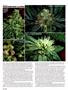 Page: - 64 | High Times