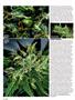 Page: - 72 | High Times