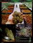 Page: - 94 | High Times