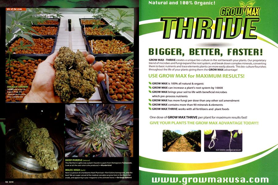 pix of the crop