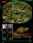 Page: - 98 | High Times