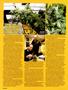 Page: - 38 | High Times