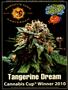 Page: - 49 | High Times