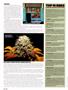 Page: - 52 | High Times
