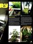 Page: - 57 | High Times
