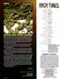 Page: - 6 | High Times