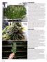 Page: - 60 | High Times