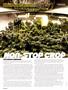 Page: - 64 | High Times