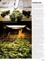 Page: - 65 | High Times