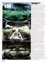 Page: - 66 | High Times