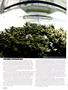 Page: - 72 | High Times