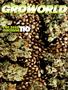 Page: - 93 | High Times