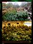 Page: - 98 | High Times
