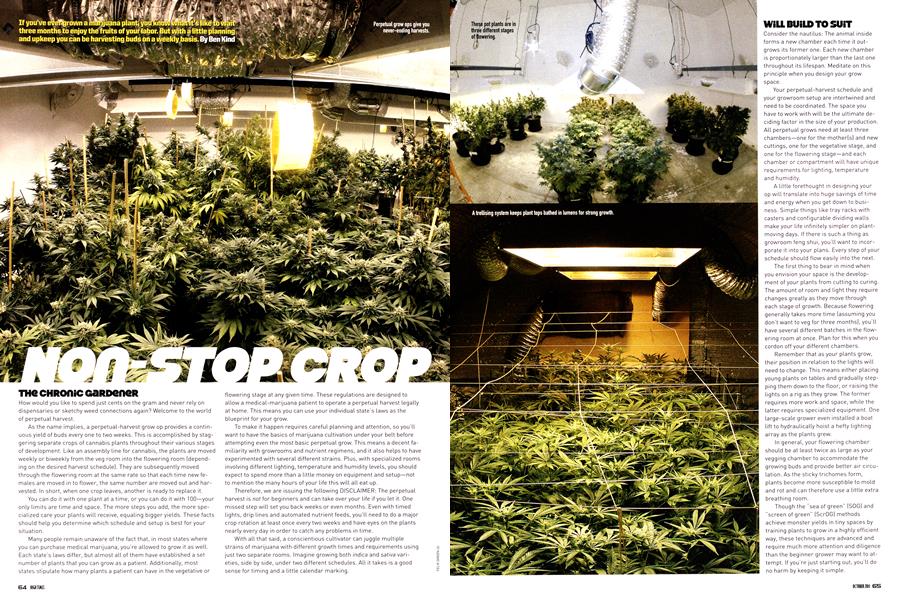NON-STOP CROP