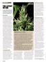 Page: - 112 | High Times