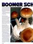 Page: - 116 | High Times