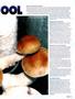 Page: - 117 | High Times