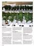 Page: - 120 | High Times