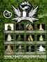 Page: - 2 | High Times