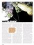 Page: - 26 | High Times
