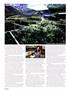 Page: - 38 | High Times