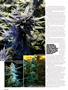 Page: - 40 | High Times
