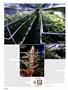 Page: - 42 | High Times