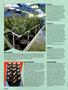 Page: - 48 | High Times