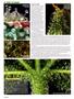 Page: - 72 | High Times