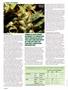 Page: - 74 | High Times