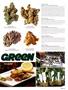 Page: - 81 | High Times