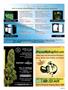 Page: - 91 | High Times