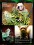 Page: - 94 | High Times