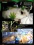 Page: - 96 | High Times