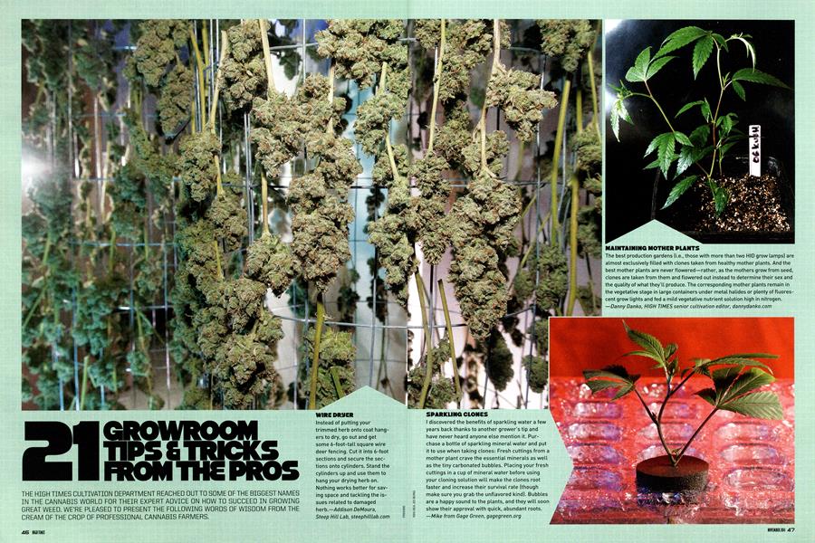 21 GROWROOM TIPS & TRICKS FROM THE PROS