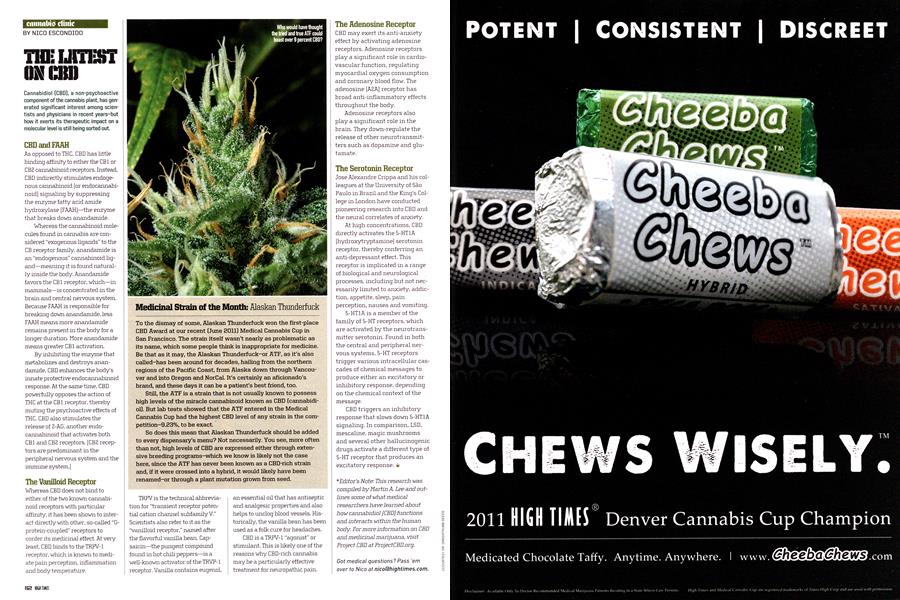 THE LATEST ON CBD