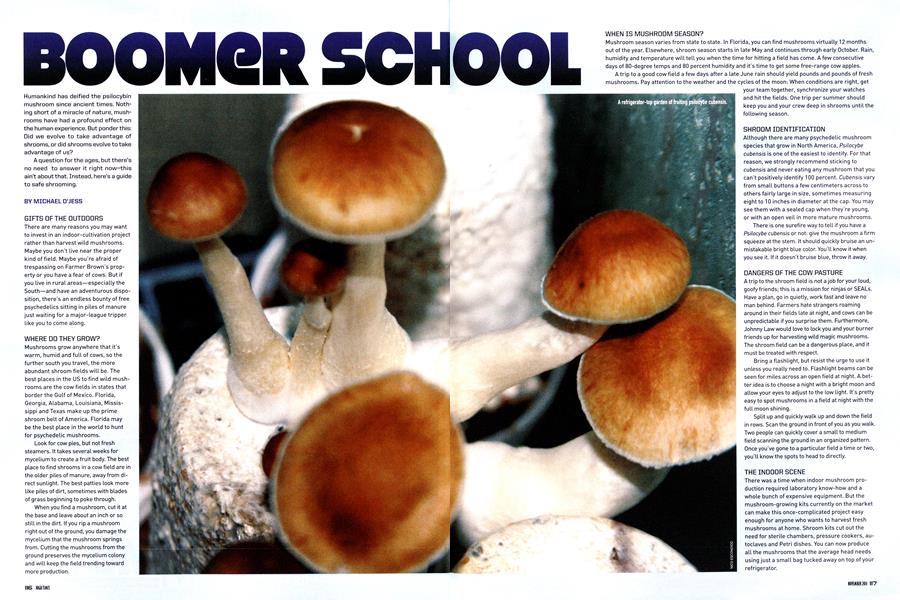 BOOMER SCHOOL