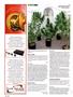 Page: - 124 | High Times