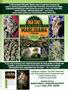 Page: - 127 | High Times