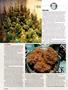 Page: - 38 | High Times