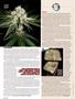 Page: - 42 | High Times