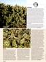 Page: - 44 | High Times