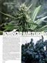 Page: - 48 | High Times